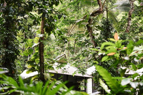 Daintree Ecolodge - Accommodation Australia 0