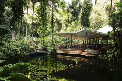 Daintree Ecolodge - Accommodation Australia 1