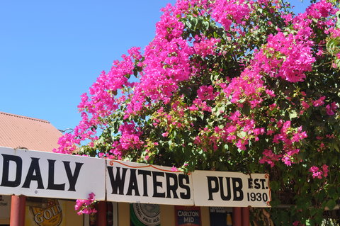 Daly Waters Historic Pub - Australia Shopping 0