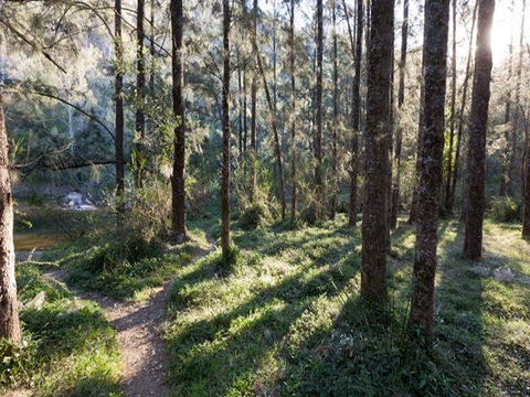 Deua River Campgrounds - Accommodation Australia 0