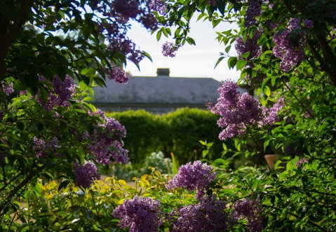 Eurambeen Historic Homestead And Gardens - Accommodation Australia 1