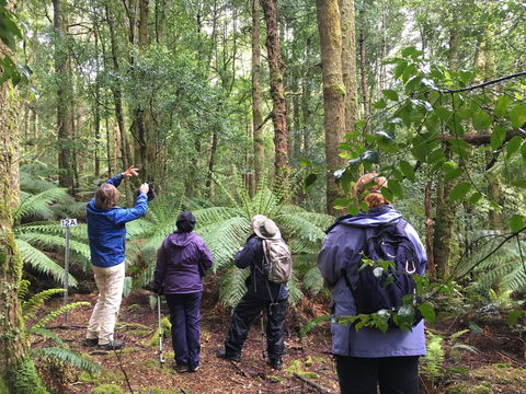 Forest Walks Lodge - Eco-Accommodation - Local Tourism 1