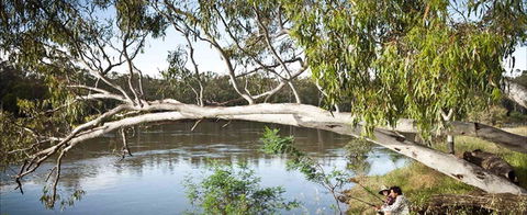 Hay Caravan Park - Accommodation Australia 1