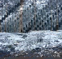 High Peaks Cottages - Accommodation Australia