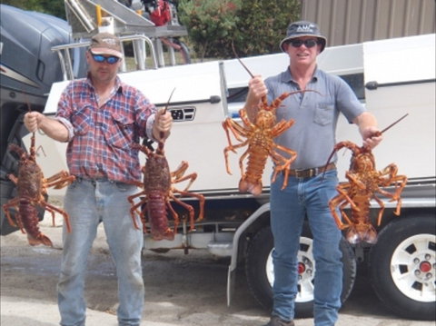 Island View Retreat - Accommodation Australia 2