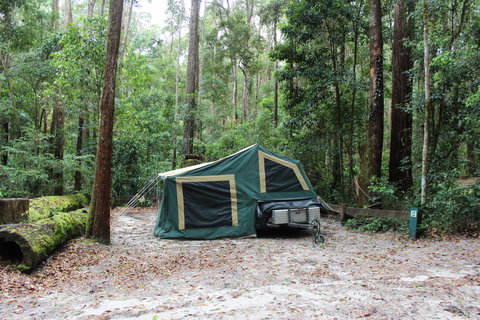 K'gari (Fraser Island) Camping, Great Sandy National Park - Local Tourism 2