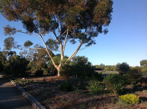 Murray Bridge Motor Inn - Accommodation Australia 2