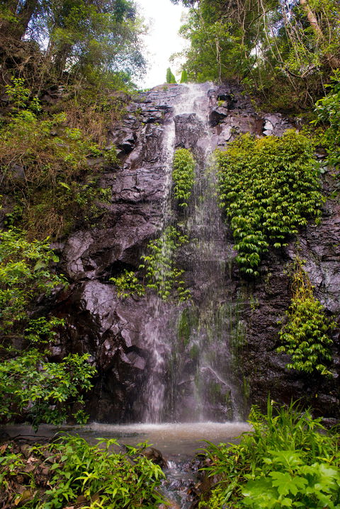Nimbin Waterfall Retreat - Accommodation Australia 0