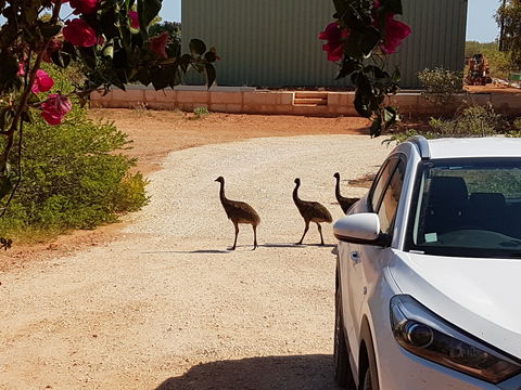 Ningaloo Bed And Breakfast - Bed n Breakfasts 1