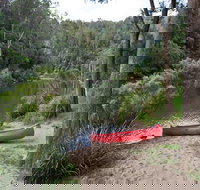 Platypus Flat campground - Bed n Breakfasts