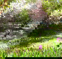 Sofala Cottage - Local Tourism