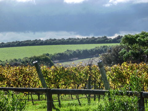 Suma Park Estate - Accommodation Australia 1