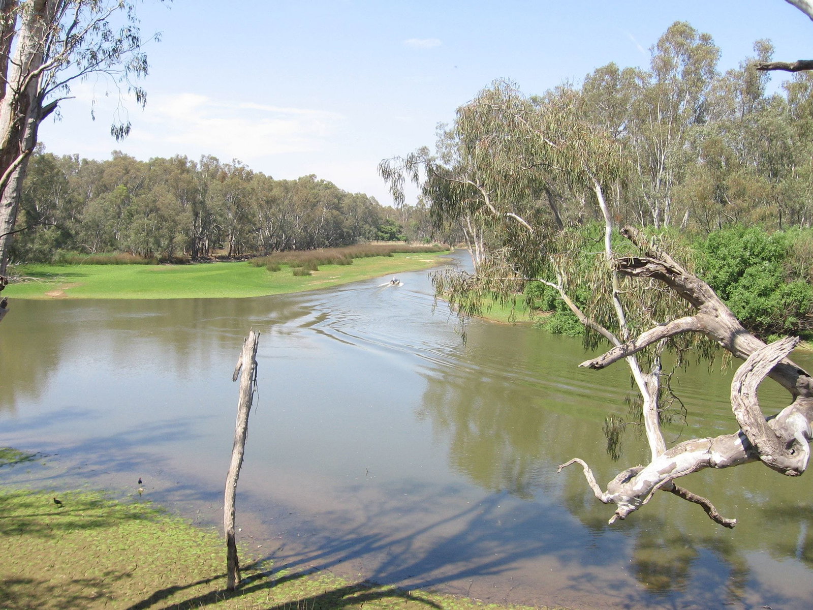 Collendina NSW Accommodation Australia