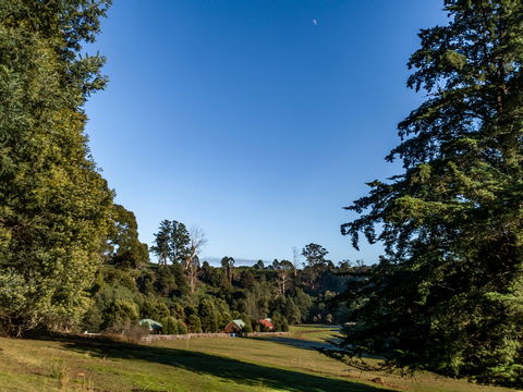 Tin Dragon Trail Cottages - Accommodation Australia 0