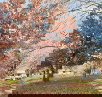 Tumbarumba Caravan Park - Accommodation Australia