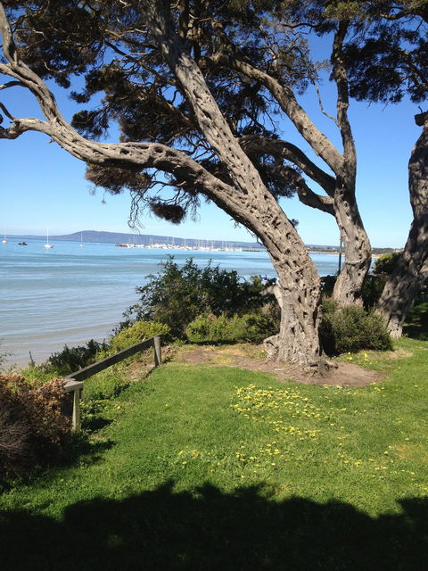 WhiteCliffs To Camerons Bight Foreshore Reserve - Local Tourism 2