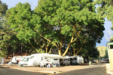 Williamstown Queen Victoria Jubilee Park - Accommodation Australia 0