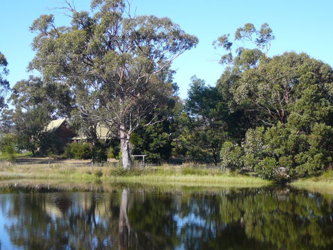 Wind Song Bed And Breakfast - Local Tourism 2