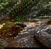 Wombat Creek campground - Accommodation Australia