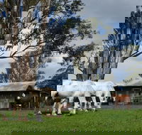 Woodenbong B and B - Accommodation Australia