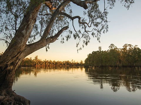 Woperana Campground - Local Tourism 0