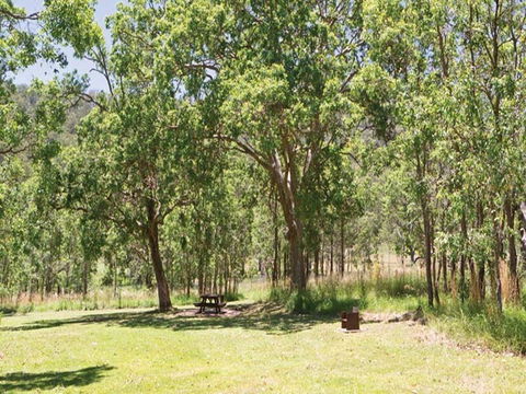 Youdales Hut Campground And Picnic Area - Australia Shopping 0