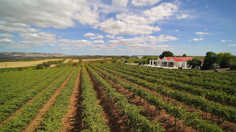 1837 Barossa Luxury Vineyard Cottages - Accommodation Australia 0