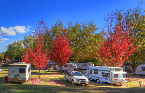 Beechworth Lake Sambell Caravan Park - Local Tourism 0