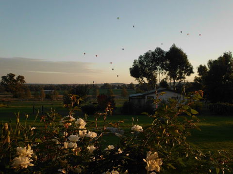 Belubula Cottage Canowindra - Local Tourism 0