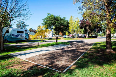 BIG4 Bendigo Marong Holiday Park - Australia Shopping 1