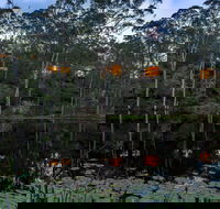 Billabong Retreat - Local Tourism