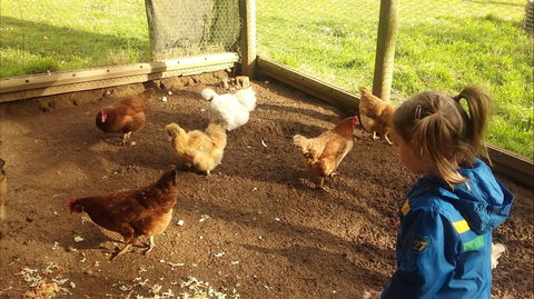 Emerald Park Holiday Farm - Local Tourism 2