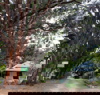 Fernleigh Accommodation - Local Tourism