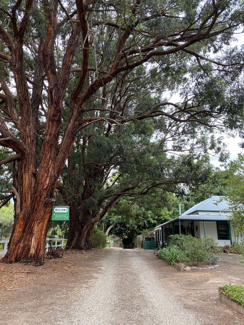 Fernleigh Accommodation - Local Tourism 0