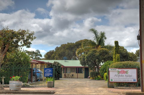 Ficifolia Lodge Kangaroo Island - Local Tourism 1