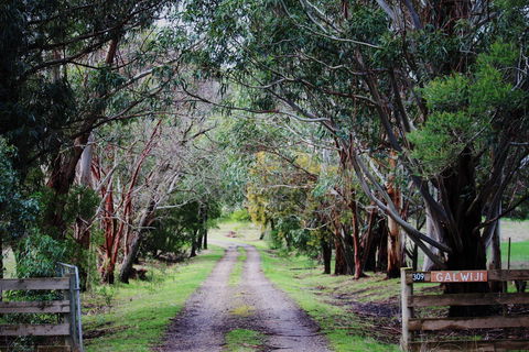 Galwiji Homestead - Local Tourism 1