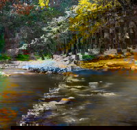 Goldfield Holiday Units