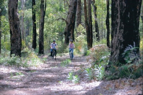 Honeymoon Pool - Gelcoat Camp At Wellington National Park - Accommodation Australia 0