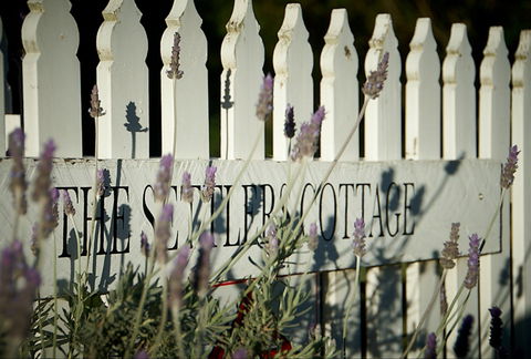 Mayfield Vineyard Cottages - Accommodation Australia 0