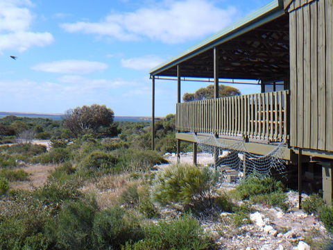 Melaleuca - Eco And Pet Friendly,  Harbor Point Cabins - Australia Shopping 1