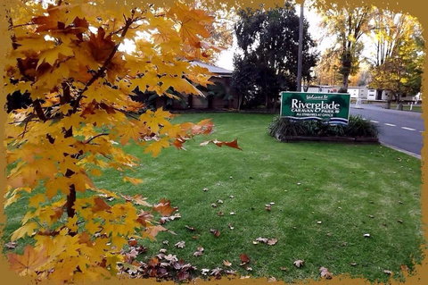 Riverglade Caravan Park - Accommodation Australia 0