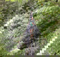 Rosebery Cabin and Tourist Park - Local Tourism