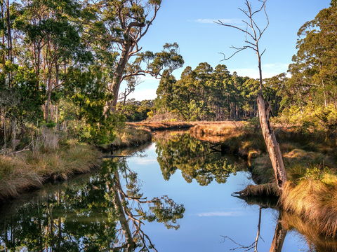 Saintys Creek Cottage - Australia Shopping 1