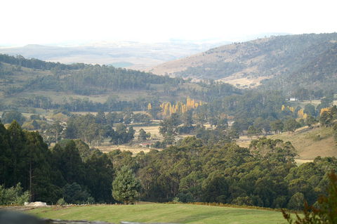 Sassafras Springs - Accommodation Australia 1