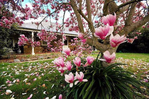 The Stone Cottage - Accommodation Australia 1