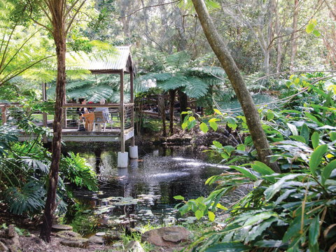 The Oasis And Wellness Centre  At One Mile Beach - Local Tourism 2