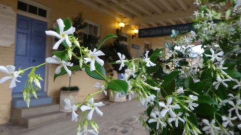 The Globe Inn - Accommodation Australia 1