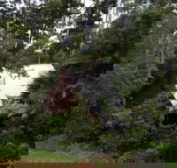 Turkeys Nest Rainforest Cottages Mt Glorious - Local Tourism