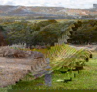 131 - Heart of the Vale - Accommodation Australia