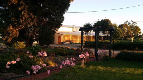 Angas Plains Wines Suites - Local Tourism 1